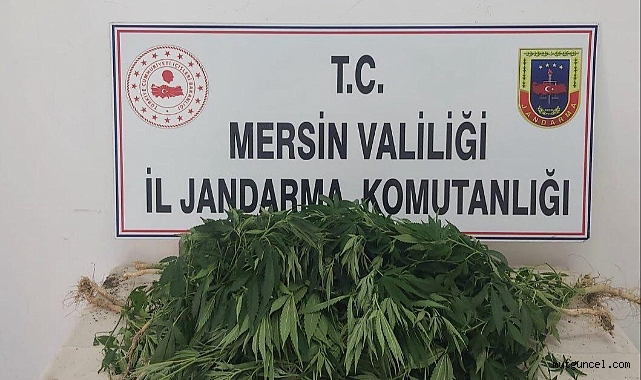 Jandarmadan uyuşturucu operasyonu 2 tutuklama
