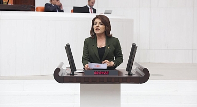 CHP'li Kış: