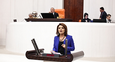 CHP'li Kış: MESEM çocuk işçiliğini meşrulaştırıyor