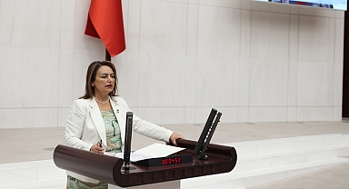 CHP Milletvekili Şevkin: “Milli Eğitim Akademisi kime hizmet edecek?” 