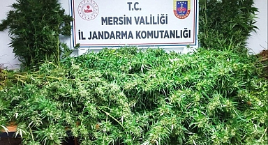 Jandarma uyuşturucu tacirlerine göz açtırmıyor