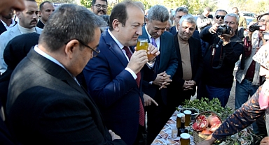 Vali Pehlivan Anıt Ağaç'tan zeytin hasadı yaptı