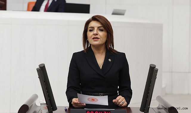 CHP’li Gülcan Kış: “2024 Emekliyi bitirme yılı oldu!