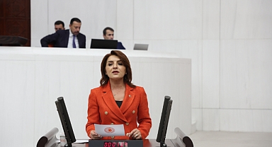 CHP'li Kış’tan Bakan Şimşek’e Döviz Bürosu sorusu