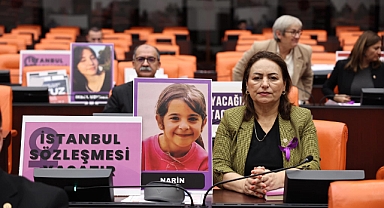 CHP’li Şevkin: