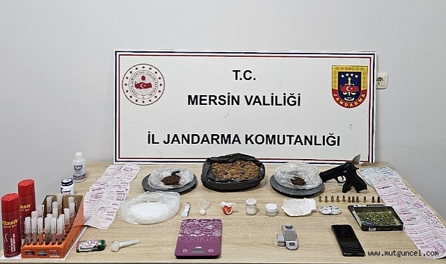 Jandarmadan Erdemli ve Çamlıyayla'da uyuşturucu operasyonu