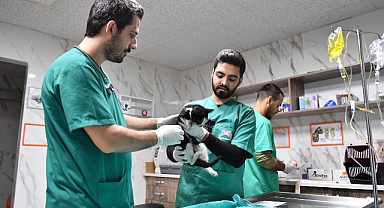 Bakımevleri'nde emin ellerde