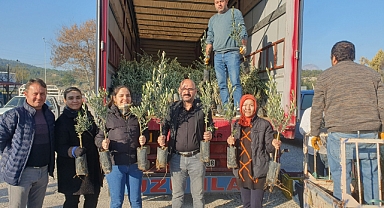 Ziraat Odası'ndan üreticiye zeytin fidanı desteği