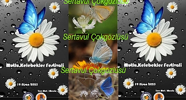 'Mutlu Kelebekler Festivali'