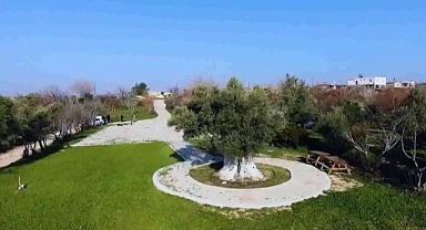 Mut zeytinyağı, AB Marka Tescil Komisyonu'nda ilan sürecinde