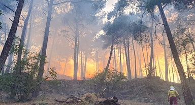 Tarsus'ta orman yangını çıkaran şüpheli yakalandı