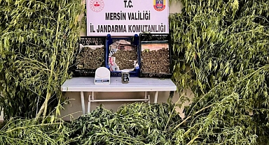 Jandarma tarihi eser kaçakçısı ve uyuşturucu üretenleri yakaladı