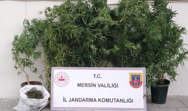 Erdemli'de uyuşturucu operasyonu