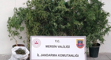 Erdemli'de uyuşturucu operasyonu