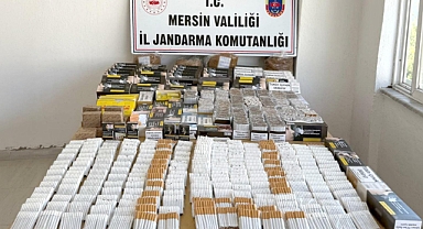 Jandarma kaçak makaron operasyonu düzenledi