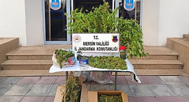 Mersin'de uyuşturucu operasyonu