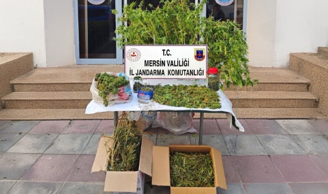 Mersin'de uyuşturucu operasyonu