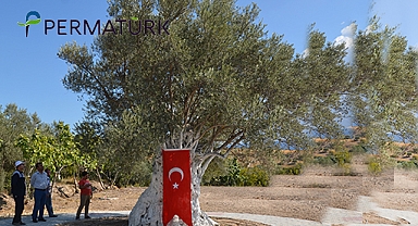 Permatürk Vakfı, 1316 yaşındaki Anıt Zeytin Ağacı'nı anarak Dünya Zeytin Ağacı Günü'nü kutladı