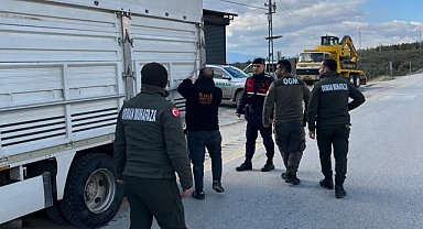 Orman suçlarına yönelik önleme araması