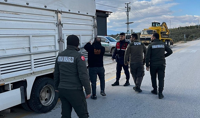 Orman suçlarına yönelik önleme araması