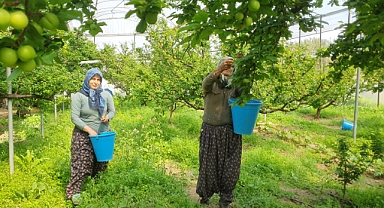 Savaş, örtü altı eriği vurdu 