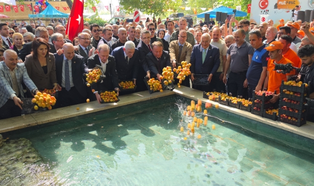 Festival başladı
