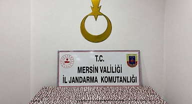 Jandarmadan Mersin'de uyuşturucu operasyonu