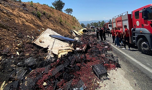 Meyve yüklü kamyon devrildi, şoförü yaralandı