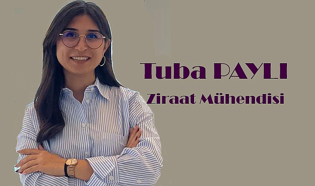 Mut Kayısısı çiçek açtı