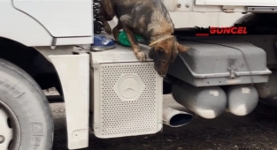 Polis kaçakçılara göz açtırmıyor